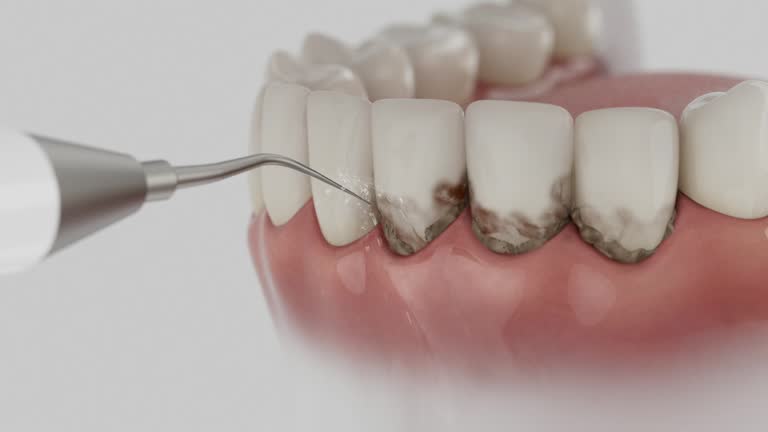 Reliable Dental contractor in Rowlett, TX by Dentist Open Now